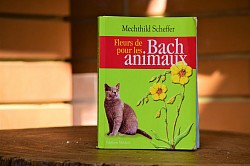 Fleurs de Bach pour les animaux