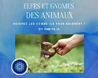 Elfes et gnomes des animaux