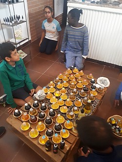 Atelier boutique pour enfants afin de connaître les produits de santé naturels et l’intérêt de l’écologie