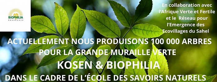 Les gammes Biophilia